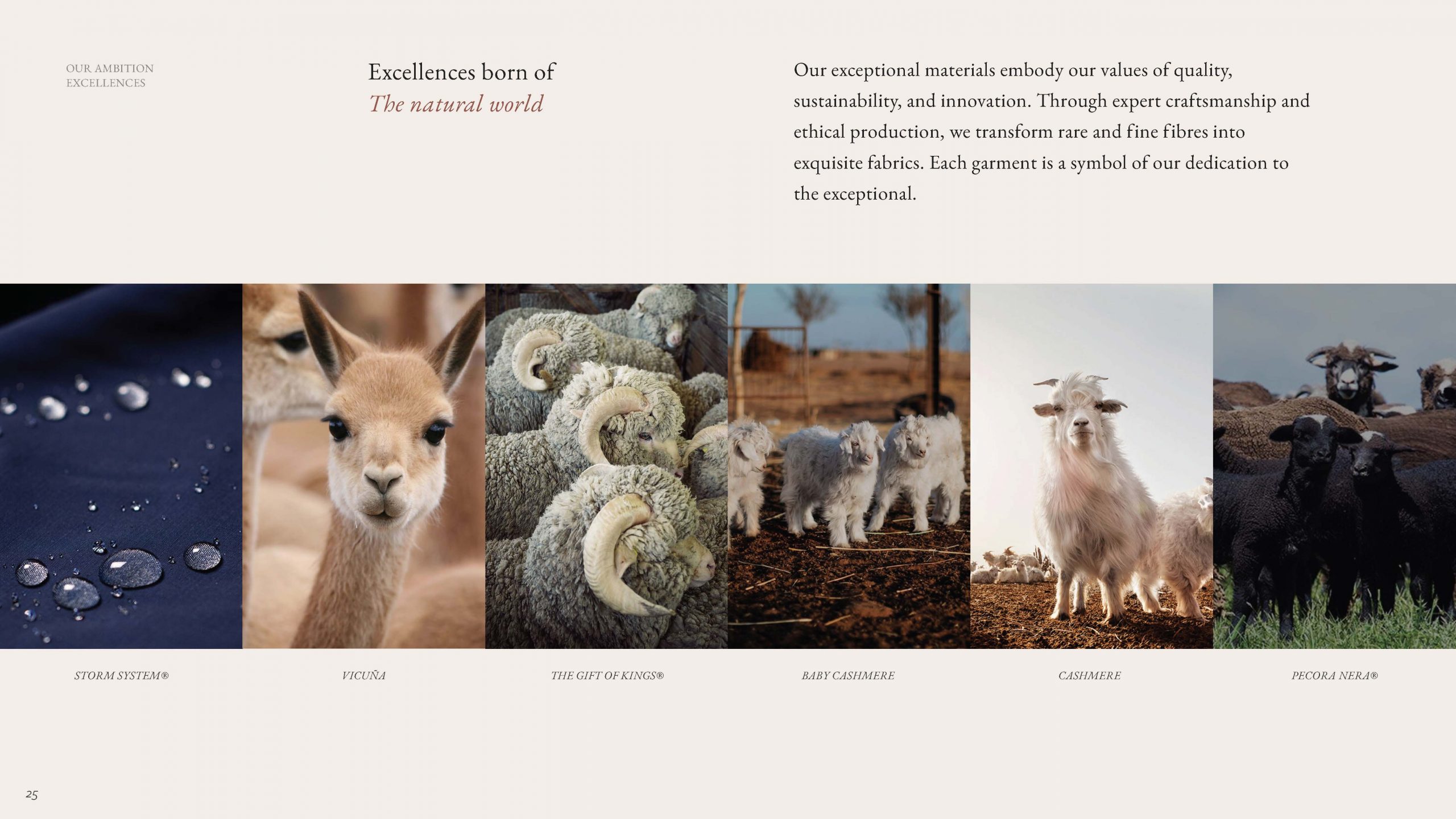 LP-Brandbook_Page_25