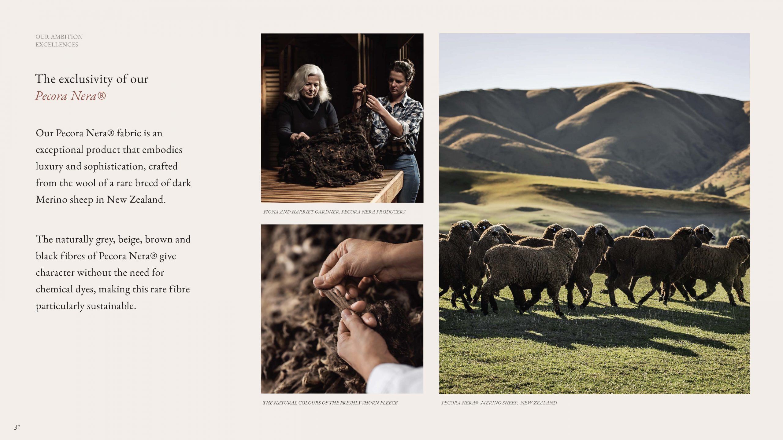 LP-Brandbook_Page_31