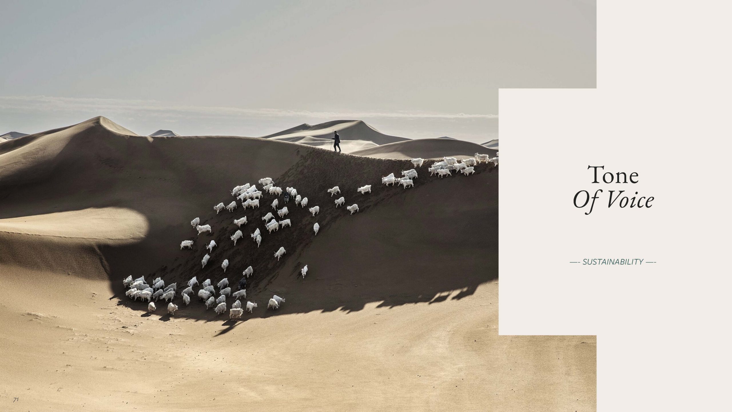 LP-Brandbook_Page_71